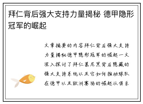 拜仁背后强大支持力量揭秘 德甲隐形冠军的崛起